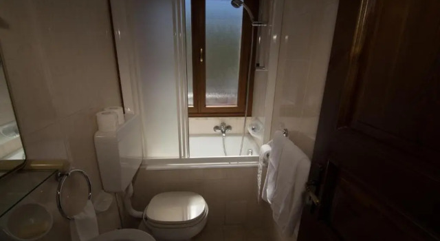 Habitación doble Estándar Hotel Edelweiss