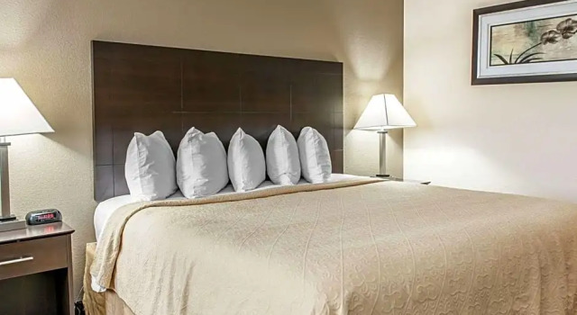 Номер Standard Quality Inn & Suites Mattoon South