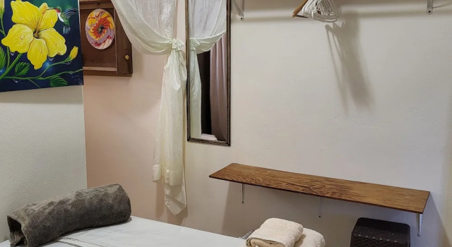 Двухместный номер Standard Цокольный этаж c 1 комнатой Hacienda Tropical Guest House