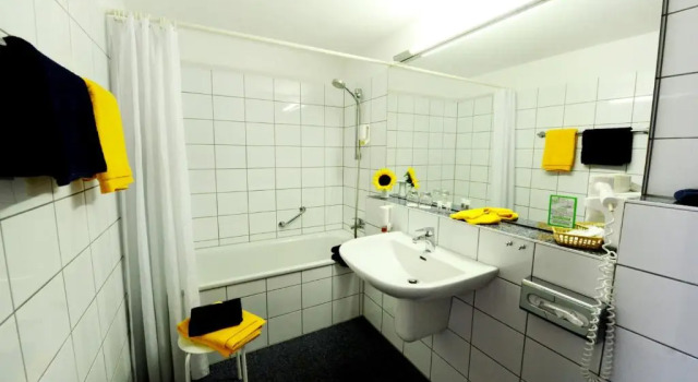 Одноместный номер Standard Hotel Goldener Adler