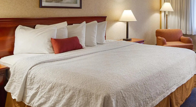 Номер Standard SureStay Plus Hotel by Best Western Lehigh Valley
