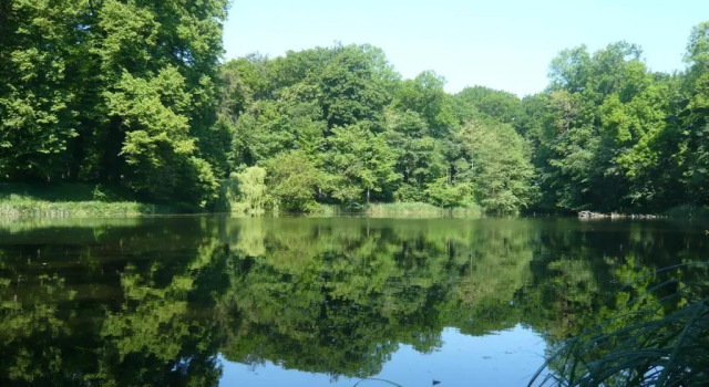 Студия Carmina am See