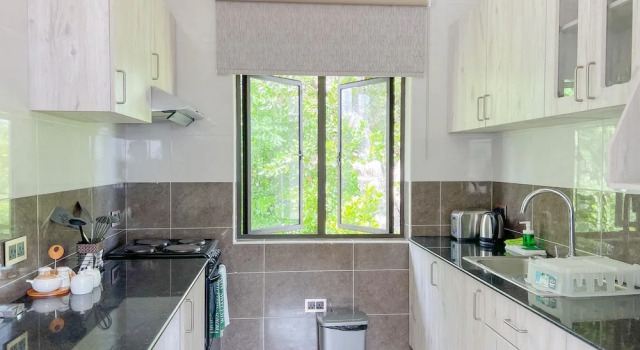 Апартаменты Classic Palm Holiday Apartments