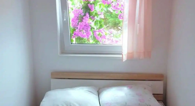 Floral Apartments Yazzy 1