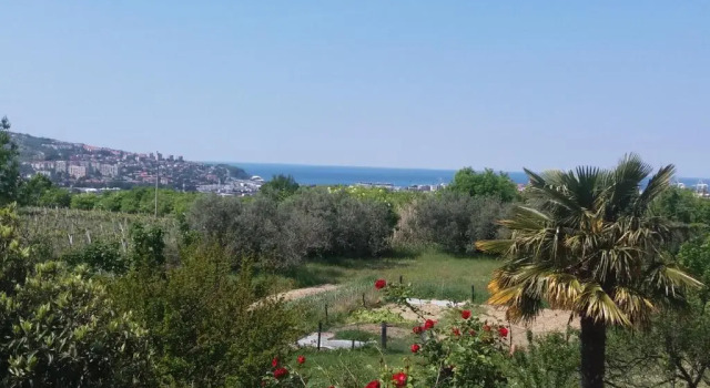 Апартаменты Peaceful View Apartment
