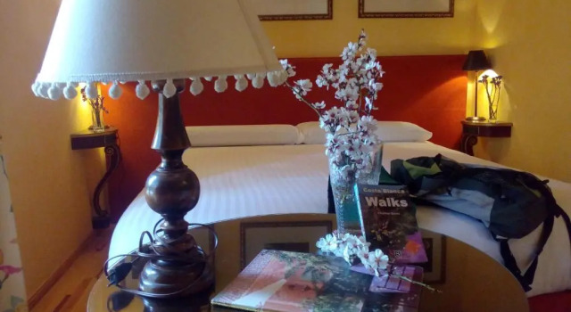 Номер Standard Hotel Rural Mas Fontanelles