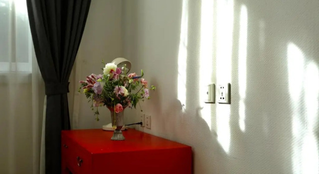Номер Classic Peking Garden Youth Hostel-Houhai&Nanluoguxiang&Drum tower-Cafe&Bar&Movie night&Social area&Rooftop