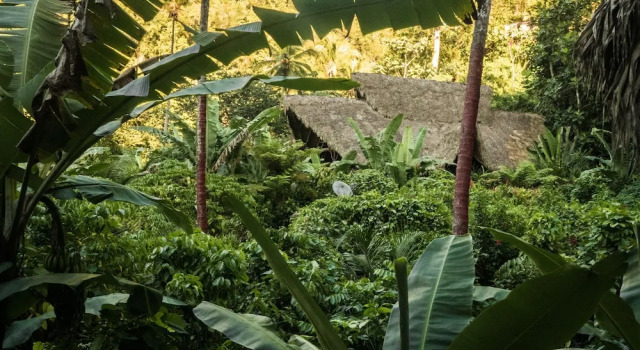 Коттедж Comfort Tree House Village - Waterfall