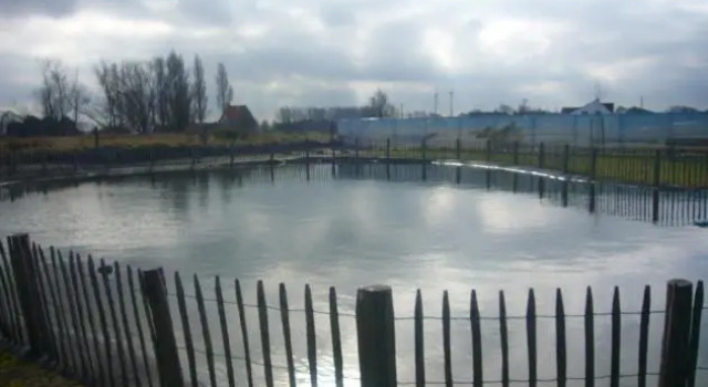 Коттедж Zee en polder nummer 16