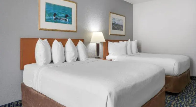 Четырёхместный номер Standard SureStay Plus Hotel by Best Western Lethbridge