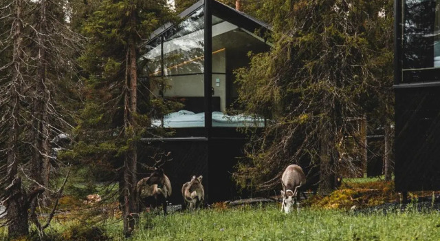 Трёхместный номер Standard с красивым видом из окна Magical Pond Nature Igloos