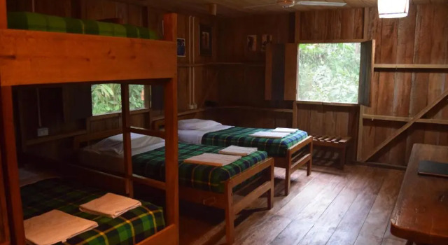 Standard huone Hakuna Matata Lodge