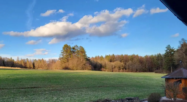 Номер Standard Pension am Wald