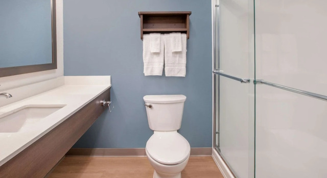 Четырёхместная студия Standard WoodSpring Suites Washington DC Northeast Greenbelt
