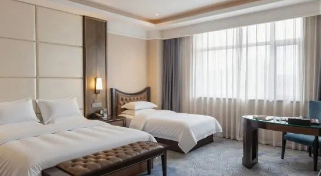 Люкс Executive Qingdao Danube International Hotel