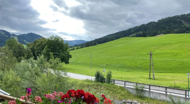 Апартаменты Hotel Sonnenlicht Maria Alm