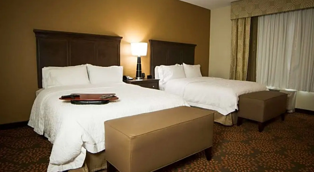 Двухместный люкс Hampton Inn & Suites - Hartsville, SC