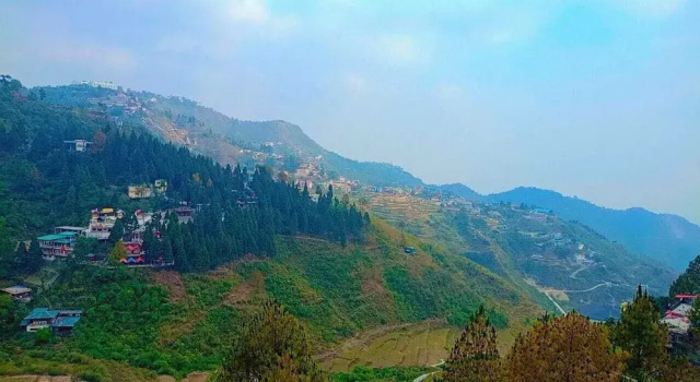 Номер Deluxe Hotel The Pine Villa Mussoorie