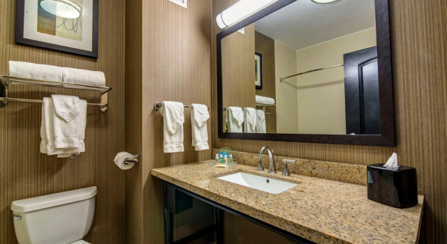 Двухместный номер Standard Holiday Inn Arlington NE-Rangers Ballpark by IHG