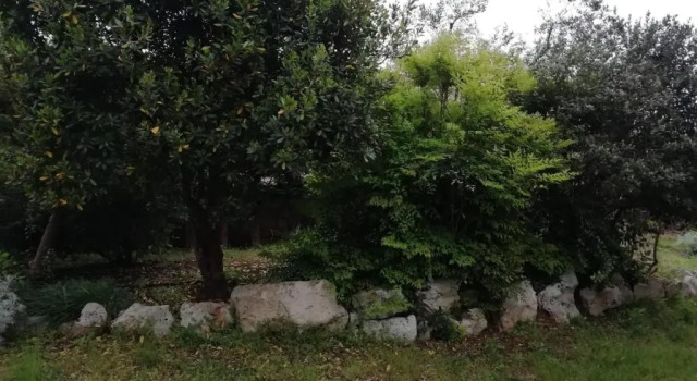 Giardini Irlandesi B&B, Varaa Bed and Breakfast Ruffano Salento