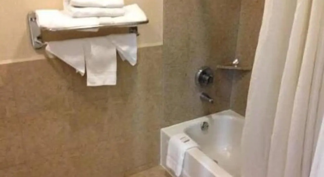 Двухместный люкс Downtowner Inn and Suites - Houston
