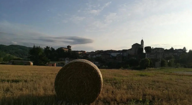 Апартаменты Дуплекс Agriturismo Mondo