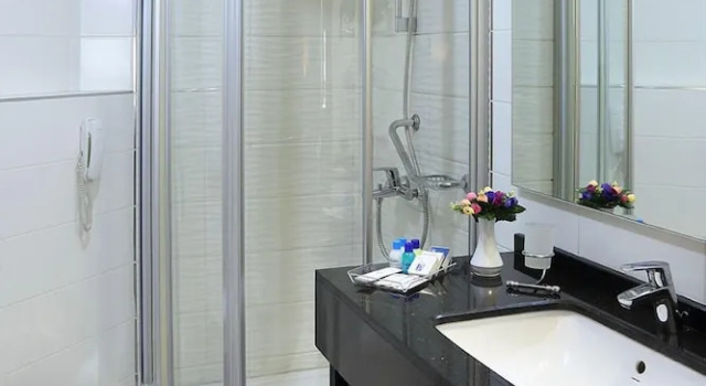 Номер Standard Adana Garden Business Hotel