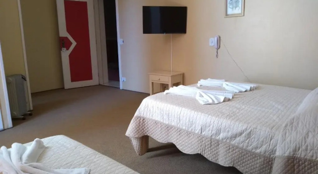 Номер Standard Hotel Platanus