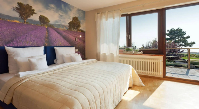 Burgunderhof Bodensee, Reserva ahora Hotel Hoteles en Baden-Wurtemberg con piscina, Piscina