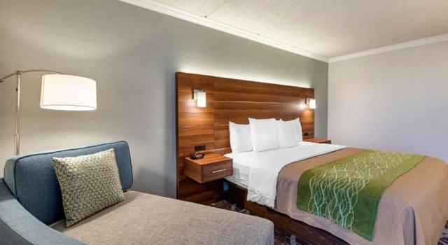 Двухместный номер Standard с видом на город Comfort Inn Anaheim Resort