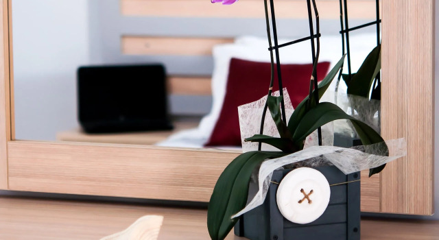Студия Superior Hera Zakynthos Hotel