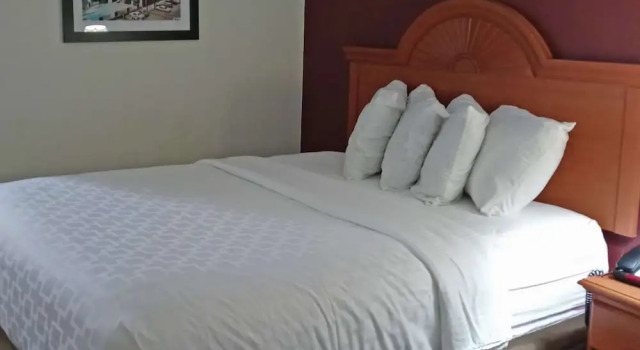 Четырёхместный номер Standard Clarion Pointe Evansville North