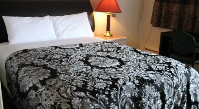 Standardní pokoj Stardust motel