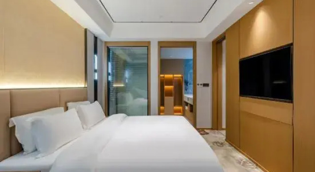 Suite Business Intercontinental Feidong Cuojie