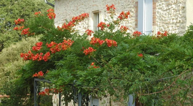 Domaine De Cimélia, Rezerwuj Hotel Fauch Tarn
