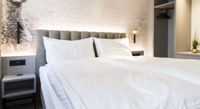 Люкс Deluxe Adaastra Boutique Hotel