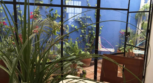 Апартаменты Casa Molcajete
