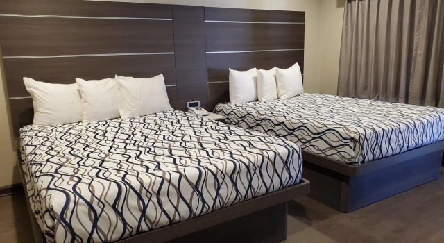 Четырёхместный номер Standard Oak Park Motel