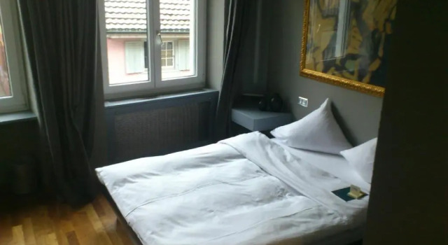 Одноместный номер Standard с видом на реку Hotel Limmatblick