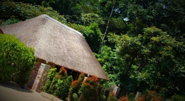 Kisubi Forest Cottages, Réserver Hôtel Hôtels SPA à Amagoro A Central, SPA