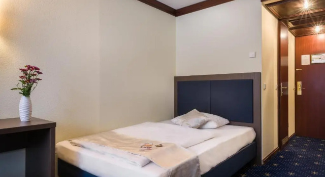 Двухместный номер Standard Garner Hotel Frankfurt - Palmengarten by IHG