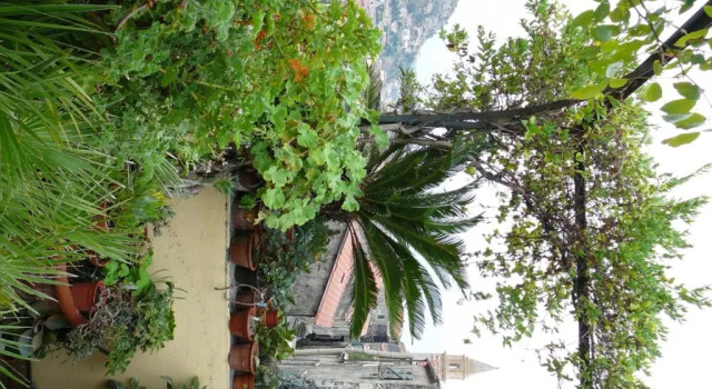 La Terrazza dei Pelargoni B&B