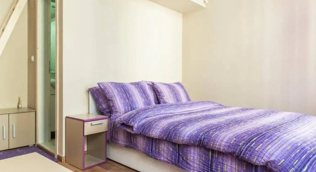 Студия Deluxe с красивым видом из окна Apartments Downtown Novi Sad