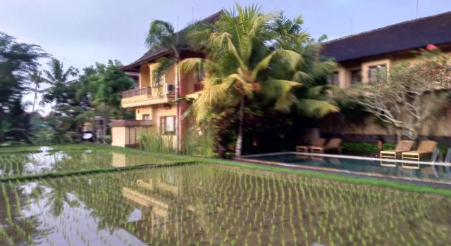 Номер Superior Ubud Lestari Bungalows