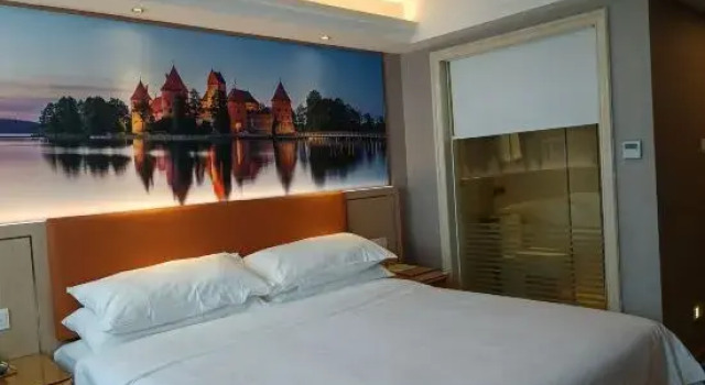 Люкс Business Vienna Hotel (Xingning Downtown Square)