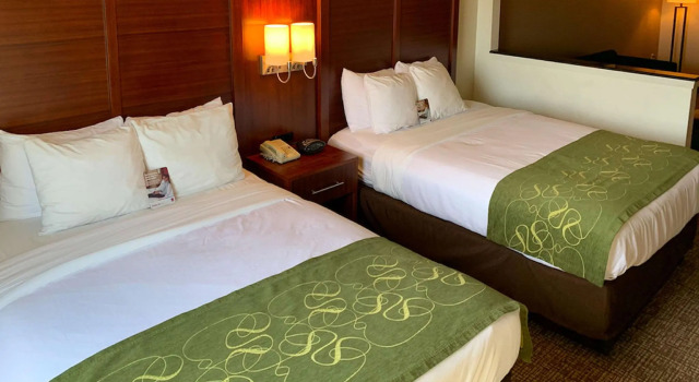 Четырёхместный люкс Comfort Suites Texas Ave