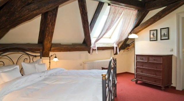 Двухместный номер Standard Мансарда Hotel & Restaurant Gutshaus Ludorf