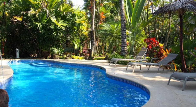 Бунгало Standard La Diosa Nature Lodge