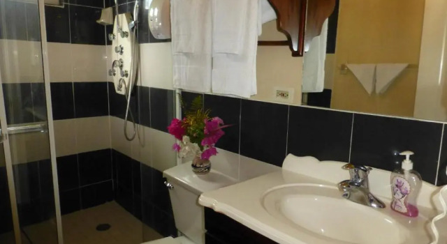 Номер Deluxe Guest House Villa Mishkan