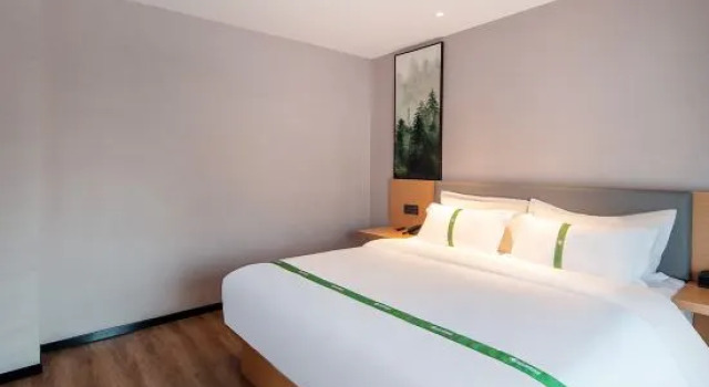 Двухместный люкс Deluxe GreenTree Inn Smart Choice Hotel (Anqing Wuyue Plaza Branch)